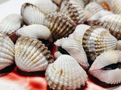 血蛤-华盛丰温州大排档(东三环南路店)