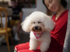 -PUZZLE COFFEE 拼图咖啡