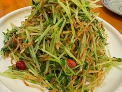 巧拌豌豆苗-锦小馆(安贞店)