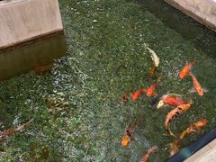 -太子园林酒家