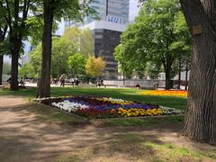 -大通公园