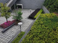 -映月湖中央公园
