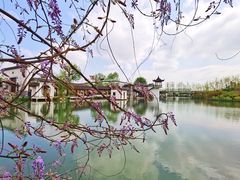 -横山鱼头馆(张横路店)