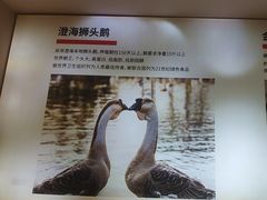 -陆记鹅庄·潮汕菜·狮头鹅(大仟里店)