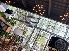 -桉树林A coffee 森林餐厅(三圣乡店)