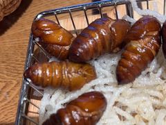 -鸽子窝(青塔店)