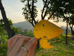 -白石龙音乐公园