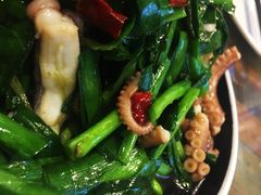 韭菜炒八爪鱼-金谷园饺子·烧烤·家宴(人大总店)