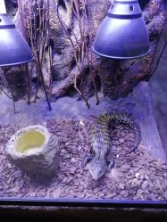 -酷嗒动物文化乐园(cutezoo西溪乐天城店)