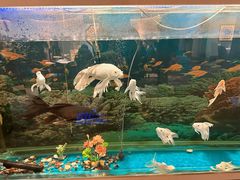 -食悦江南·淮扬菜·烤鸭(亚运村·惠新店)