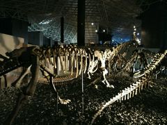 -世界恐龙谷景区