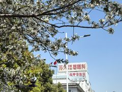 -苏州大学理想眼科医院