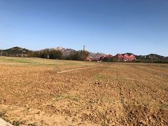 -西海岸生态观光园