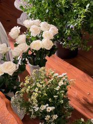 -WAVE SODA摄影工作室