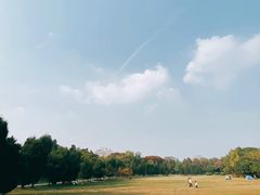 -一叶觅山(半边街店)
