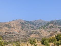 -盘龙城国家考古遗址公园