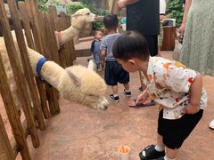 -杭州开元森泊度假乐园