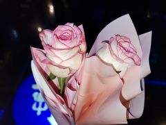 -阿卡贝拉音乐汇(印象城店)