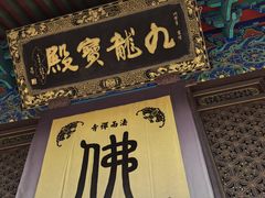 -普陀山风景名胜区-法雨禅寺