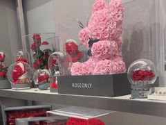 -ROSEONLY诺誓(沈阳万象城店)