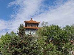 -齐齐哈尔市博物馆
