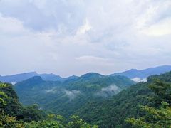 -青城甲(青城山店)
