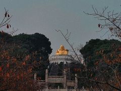 -苏州上方山国家森林公园
