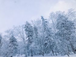-大秃顶子山