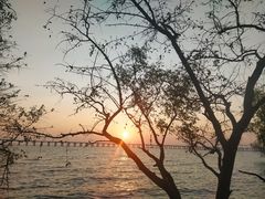 -宝安西湾红树林湿地公园