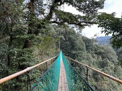 -云南屏边大围山国家公园