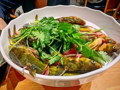 -老凯俚酸汤鱼(多彩城店)