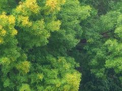 -石家庄市植物园