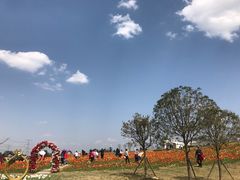 -紫颐香薰山谷景区