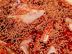 红油味钵钵鸡-嘉州叶婆婆钵钵鸡(建设路店)