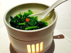 温泉田园豆苗-广舟(千禧店)