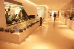 -北京和美妇儿医院