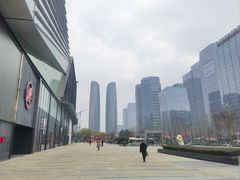 -合景·悠方(成都店)