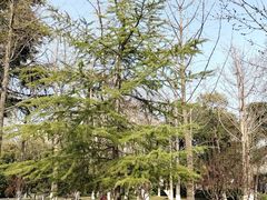 -莲湖公园