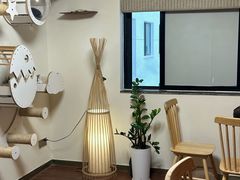 -楼上猫咖(罗湖店)