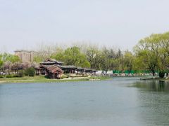 -百脉泉景区