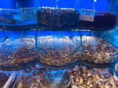 -鼓歌海鲜舫·手抓海鲜(大学城店)