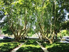 -江墅铁路遗址公园