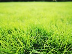 -杭州城北体育公园