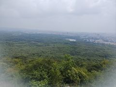-紫金山山顶公园