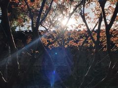 -奇芳阁·百年清真南京菜(夫子庙店)