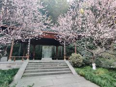 -杭州植物园
