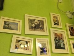熊猫张酸奶酪(东关街店)-六时安·熊猫张甜品店(东关街店)