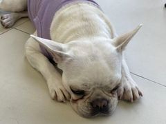 -怪兽屋·羊驼·猫咖·狗咖(俊华广场店)