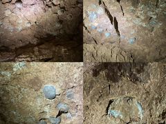 -西峡恐龙遗迹园