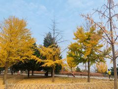 -北京西山国家森林公园